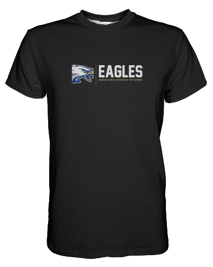 Eagles Coaches printed all over in HD on premium fabric. Handmade in California.