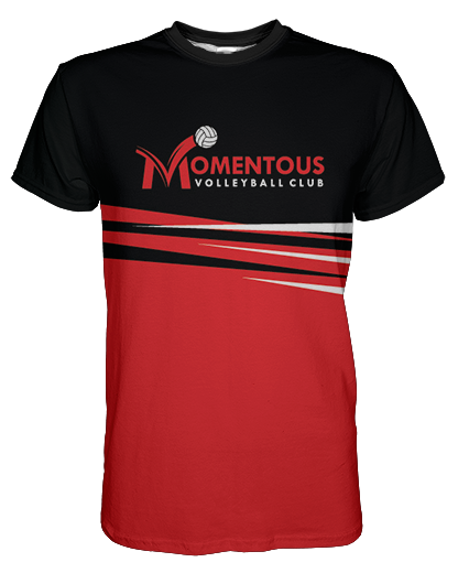 Momentous Colorblock Mens T shirt product image