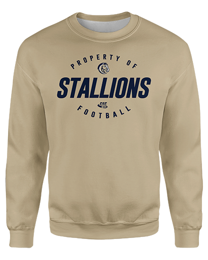 Stallions Property printed all over in HD on premium fabric. Handmade in California.